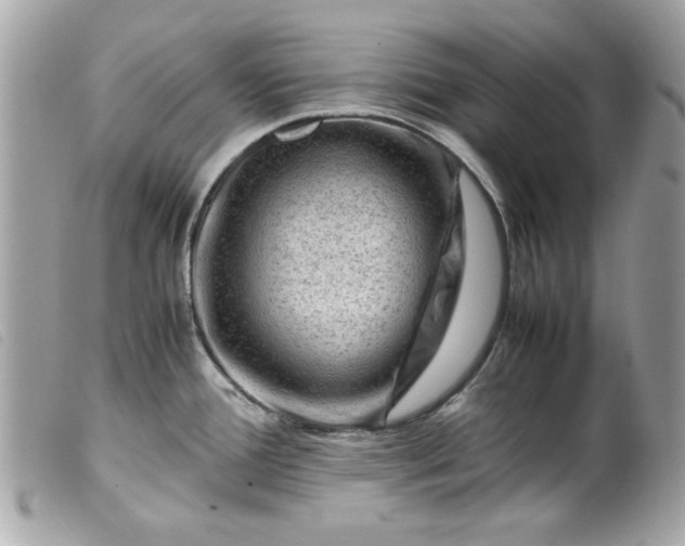 X0000099531388200805301430