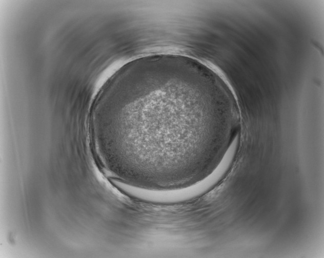 X0000099531389200805301430