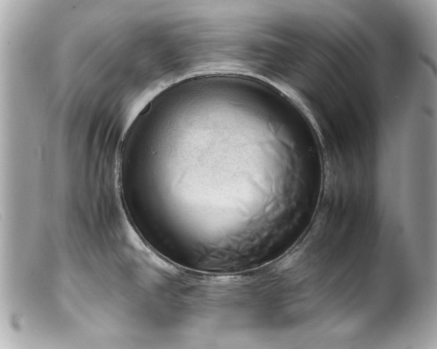 X0000099531390200805301430