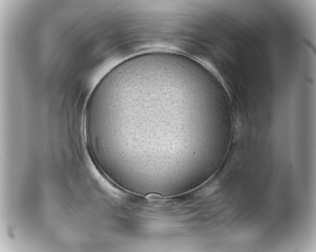 X0000099531391200805301430