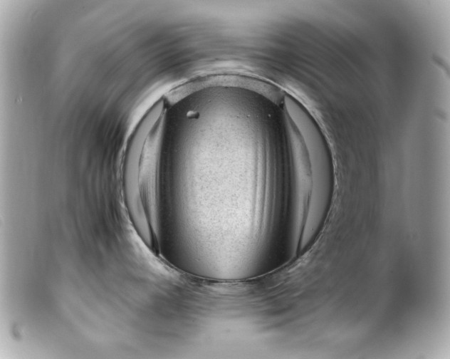 X0000099531392200805301430