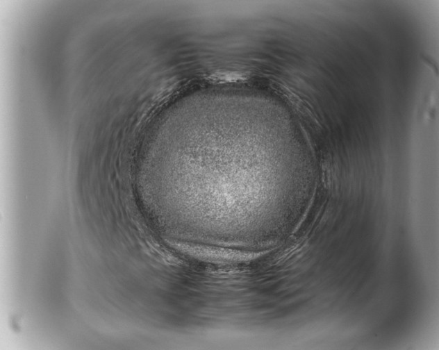 X0000099531393200805301430