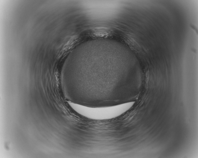 X0000099531394200805301430