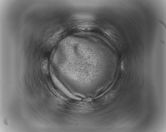 X0000099531396200805301430