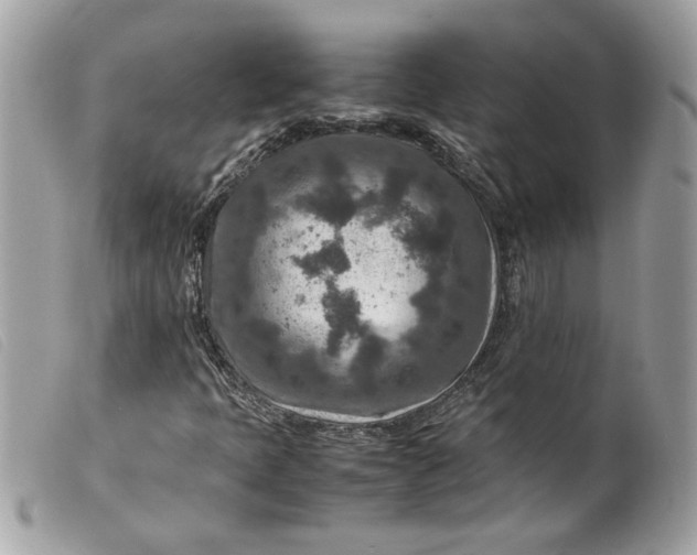 X0000099531397200805301430