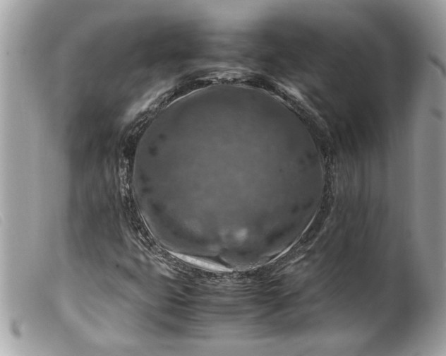 X0000099531399200805301430