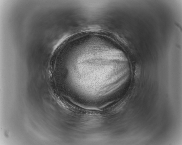 X0000099531400200805301430