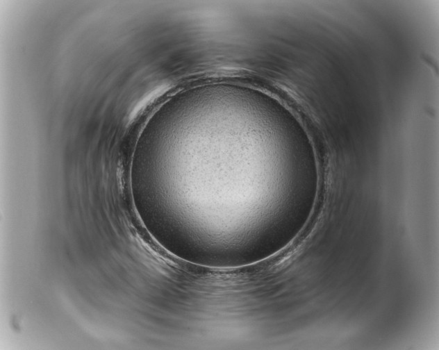X0000099531402200805301430