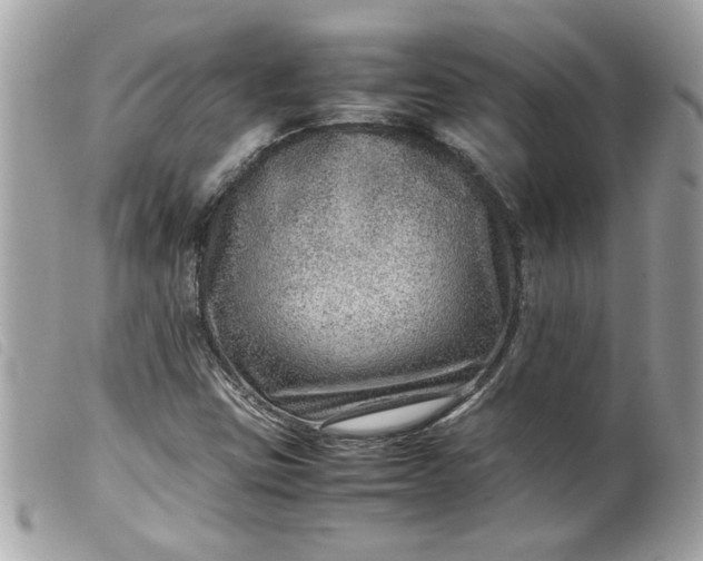 X0000099531403200805301430