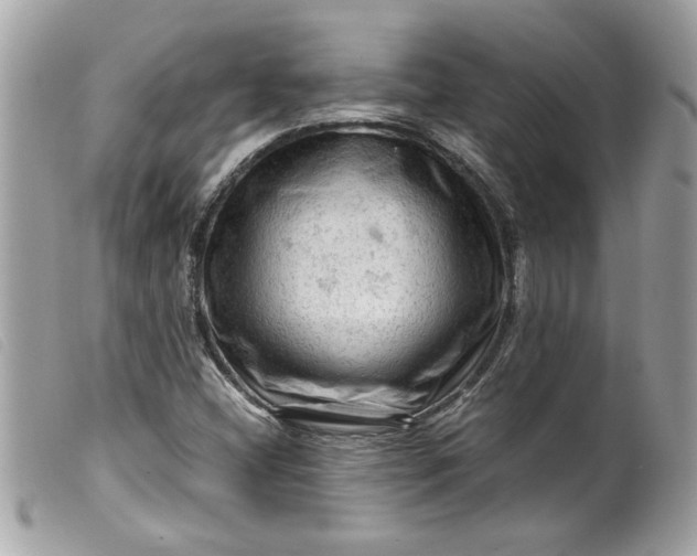 X0000099531404200805301430