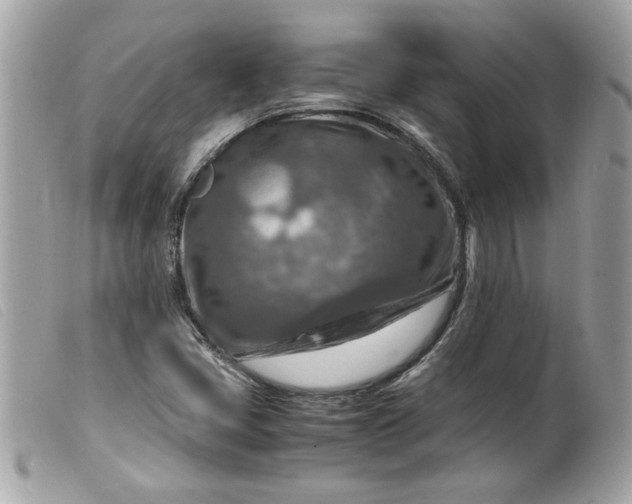 X0000099531405200805301430