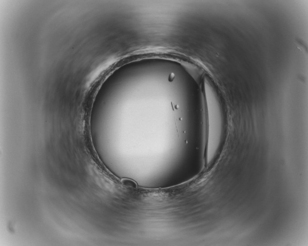 X0000099531406200805301430