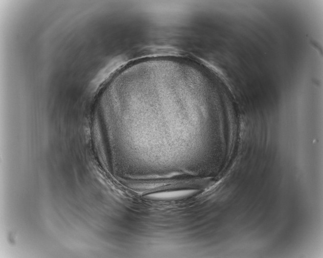 X0000099531407200805301430