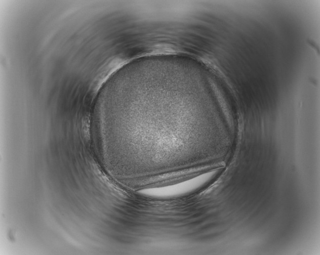 X0000099531409200805301430