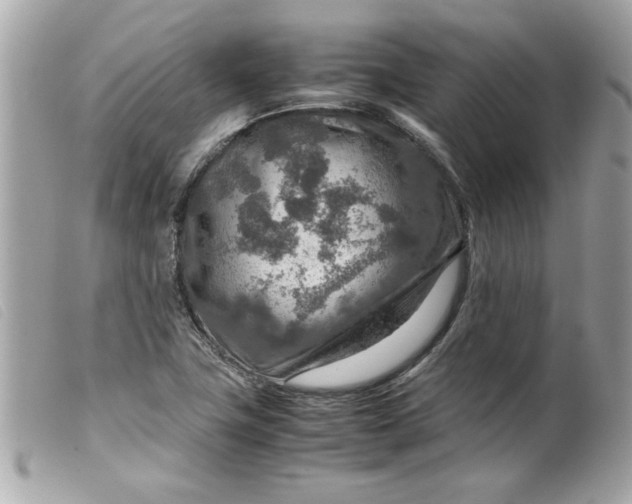 X0000099531411200805301430