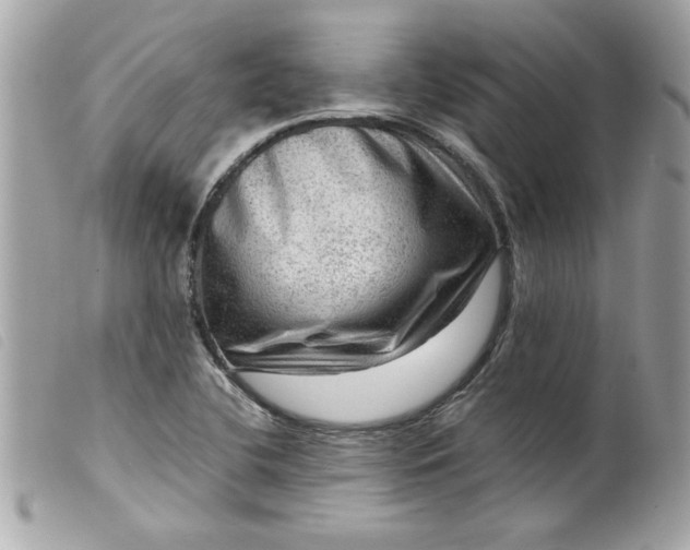 X0000099531412200805301430