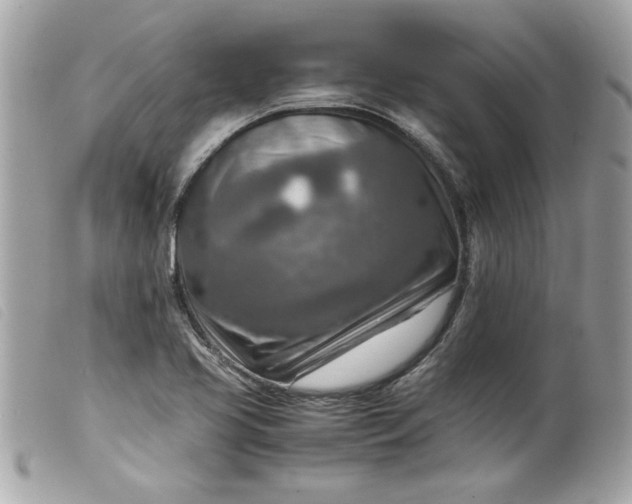 X0000099531413200805301430