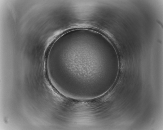 X0000099531414200805301430