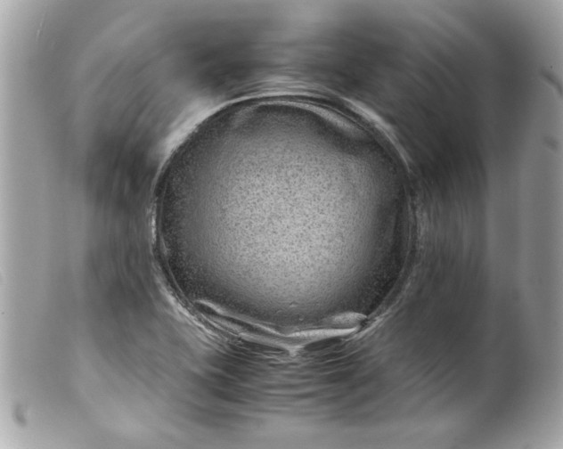 X0000099531415200805301430