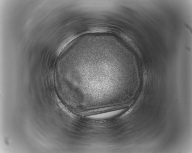 X0000099531417200805301430