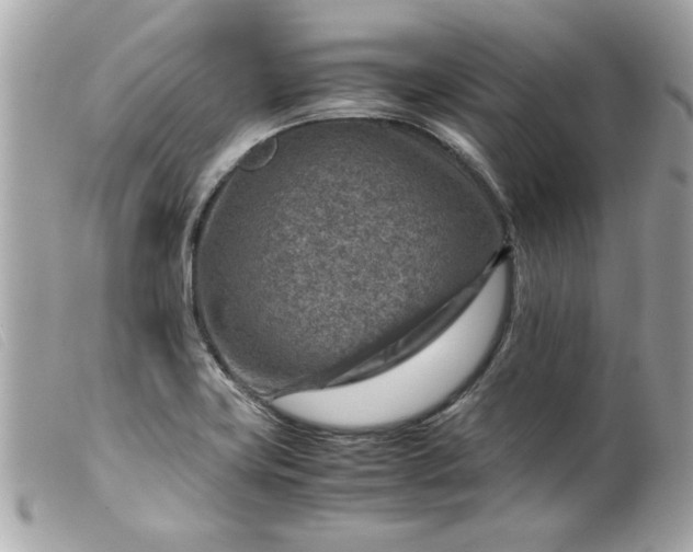 X0000099531419200805301430