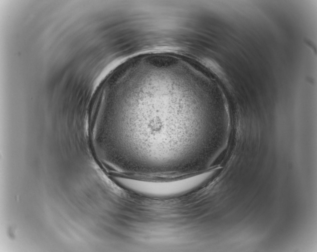 X0000099531420200805301430