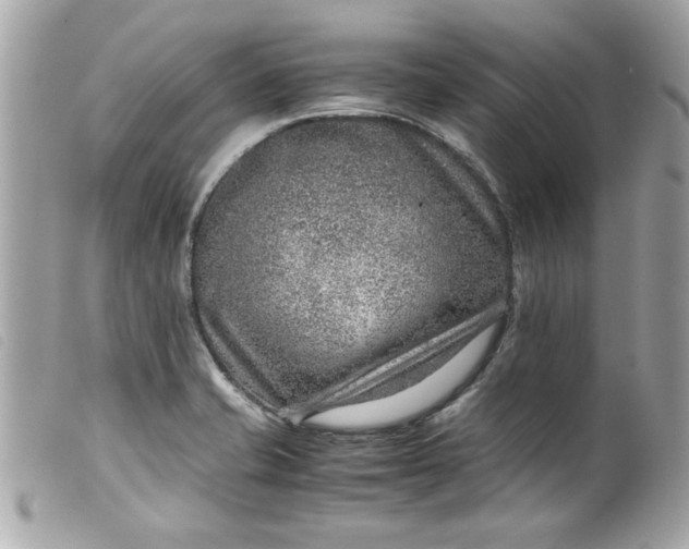 X0000099531421200805301430