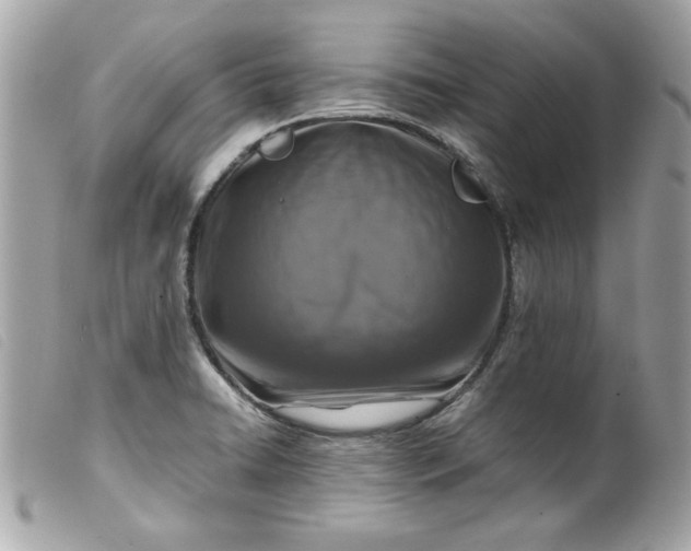 X0000099531422200805301430