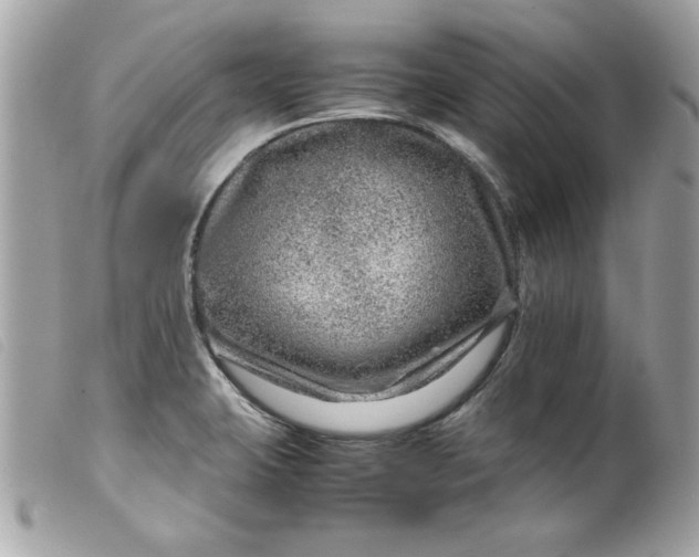 X0000099531423200805301430