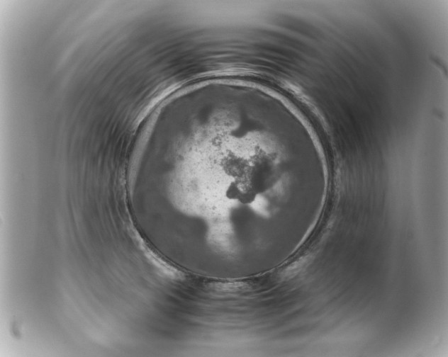 X0000099531425200805301430