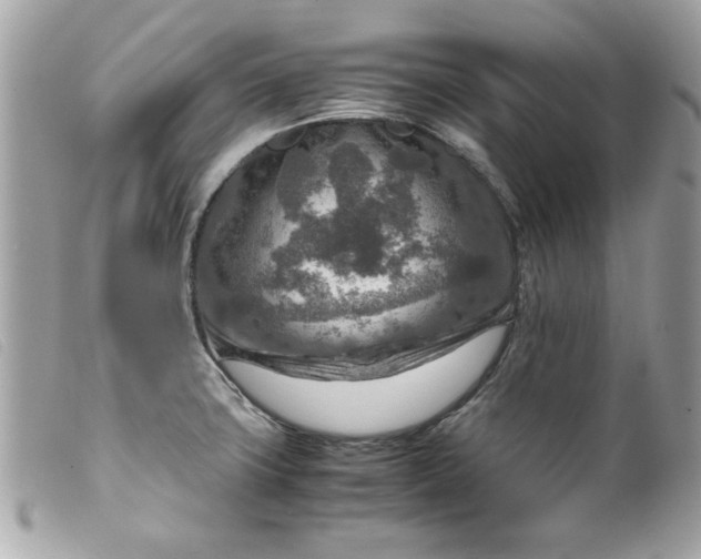 X0000099531427200805301430
