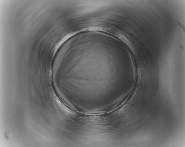 X0000099531428200805301430