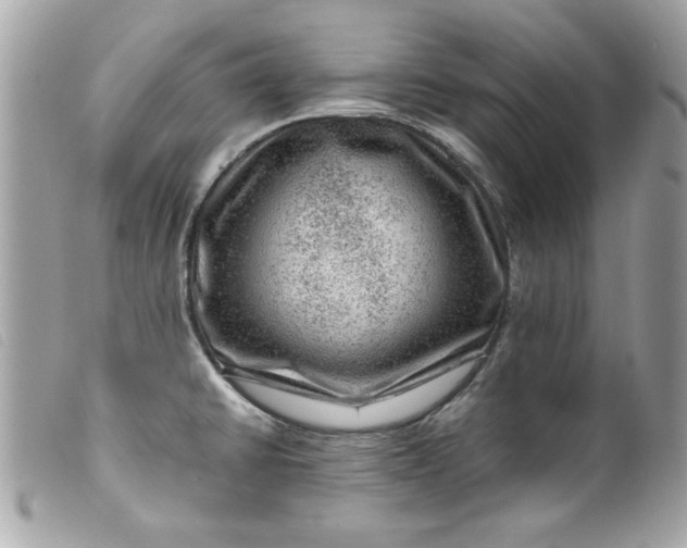 X0000099531430200805301430