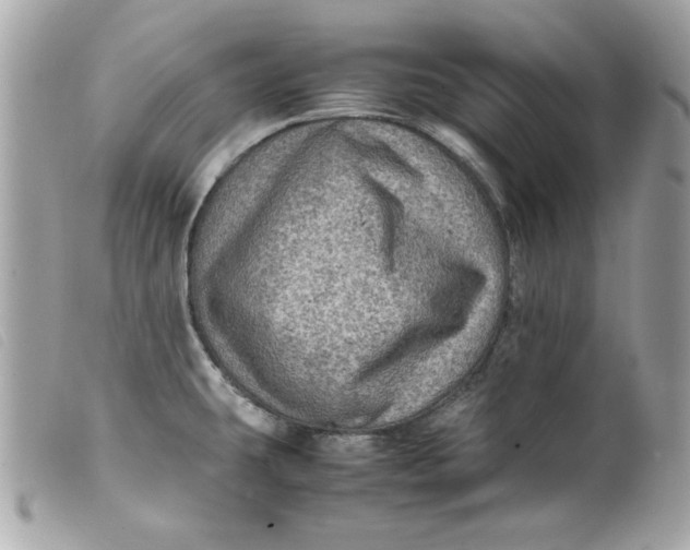 X0000099531431200805301430