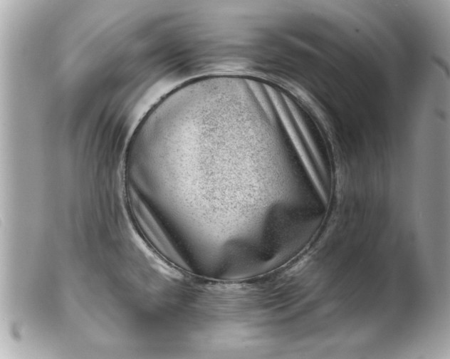 X0000099531432200805301430