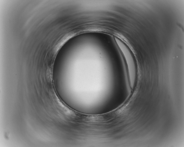 X0000099531433200805301430
