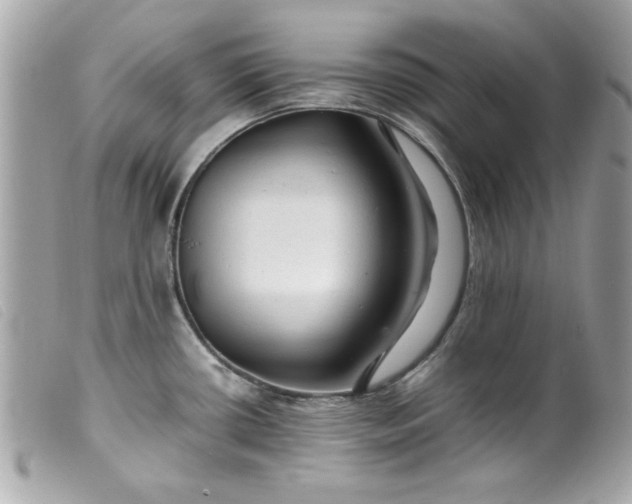 X0000099531434200805301430
