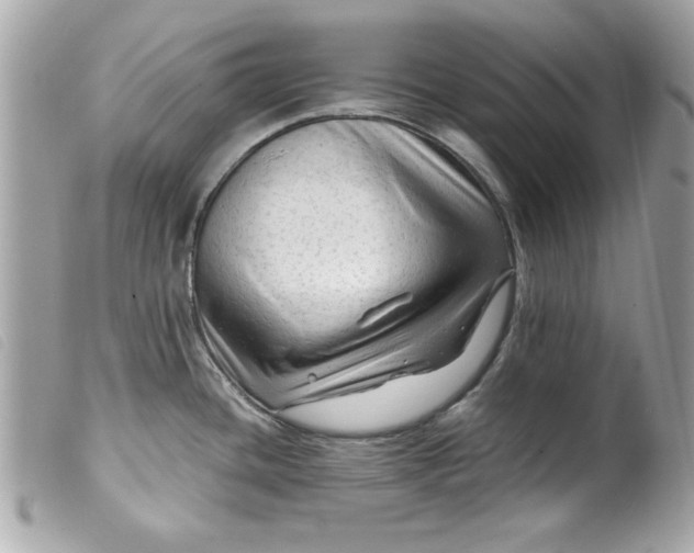 X0000099531436200805301430