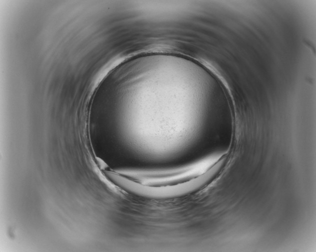 X0000099531437200805301430