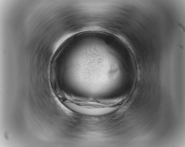 X0000099531438200805301430