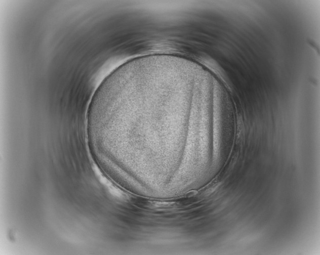 X0000099531439200805301430