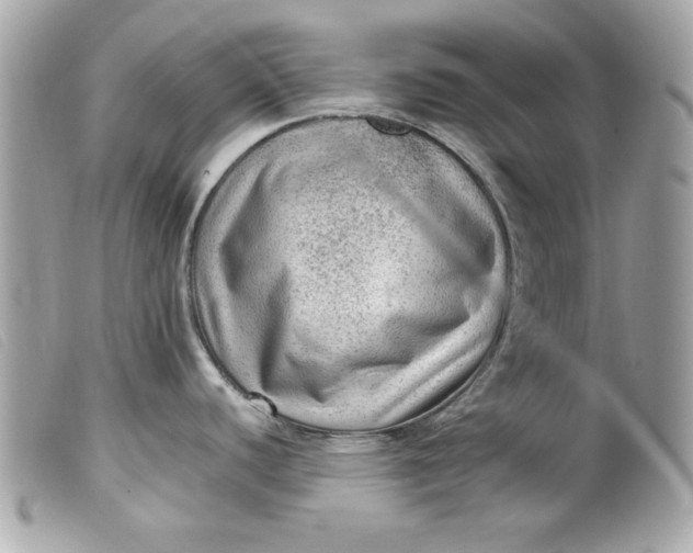 X0000099531440200805301430