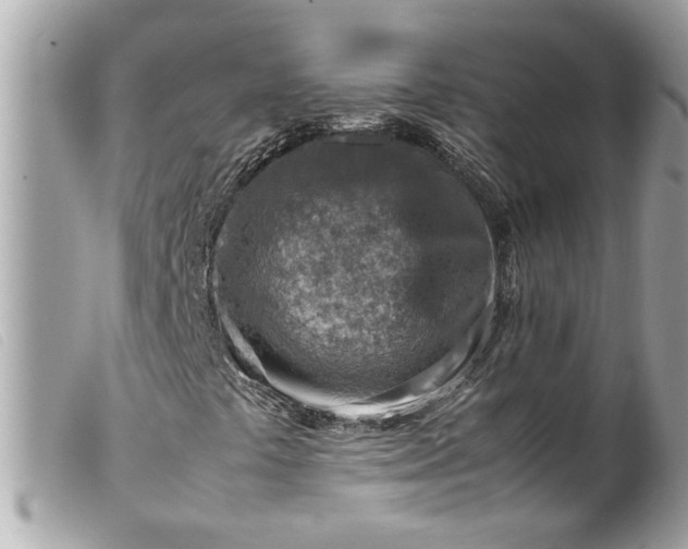 X0000099531441200805301430