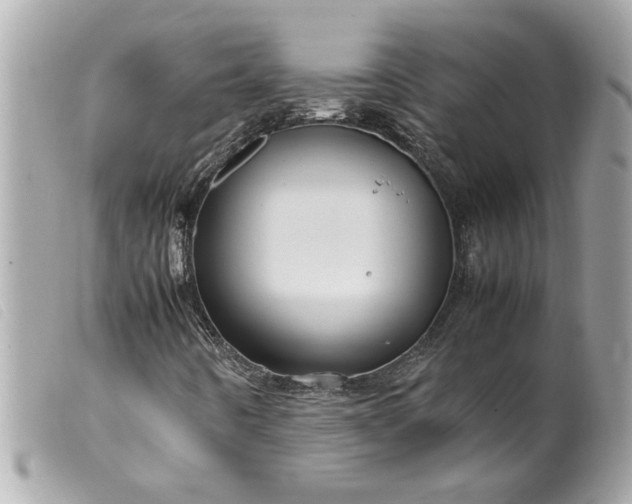 X0000099531442200805301430