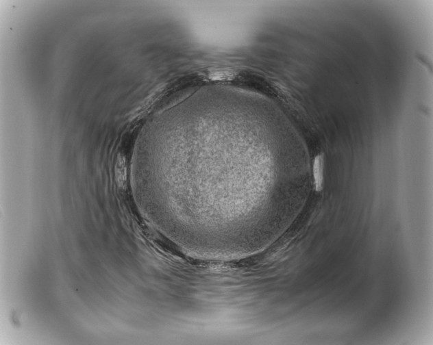 X0000099531443200805301430