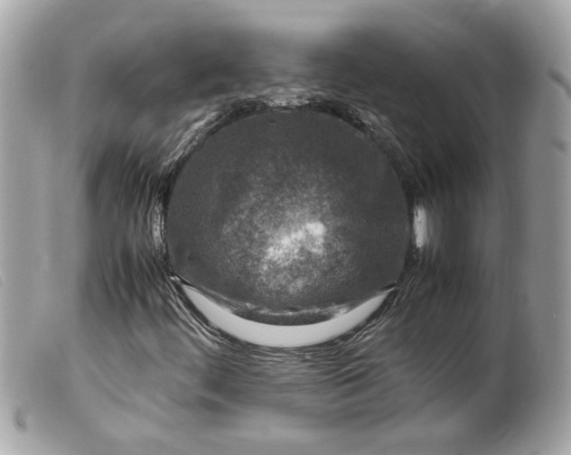 X0000099531444200805301430