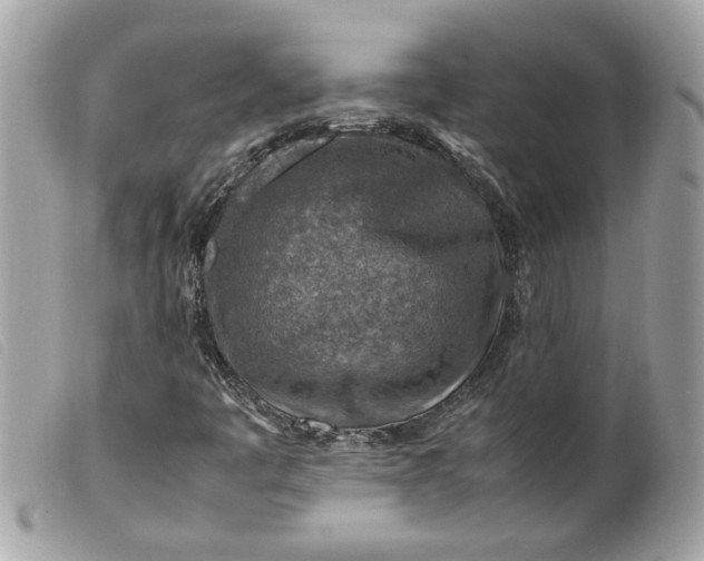 X0000099531445200805301430