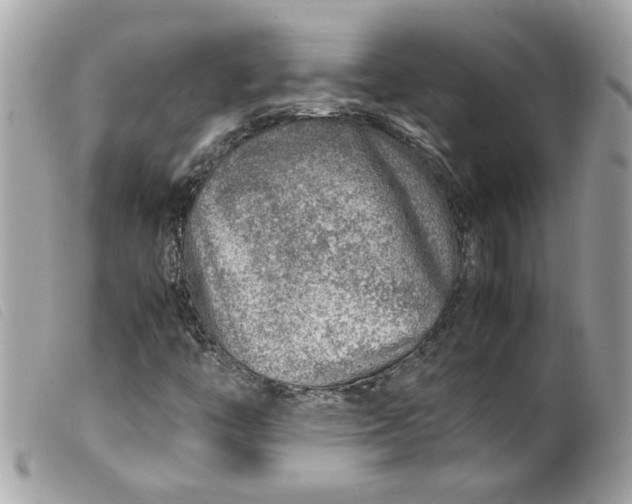 X0000099531446200805301430