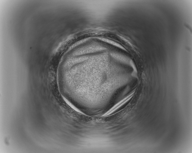X0000099531447200805301430