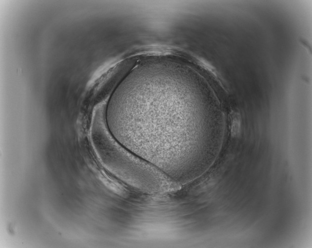 X0000099531448200805301430